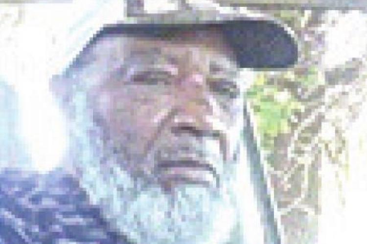 Frantz Viewins Article Image Alt Text