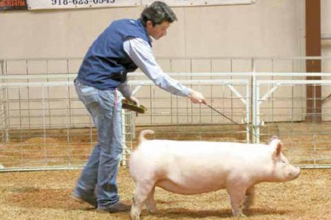 Wetumka local livestock show