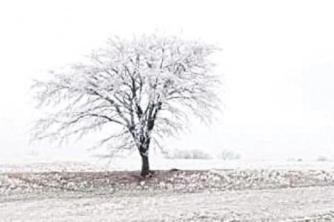 Hughes County a Winter Wonderland ...and more coming!