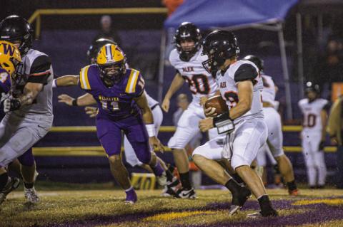 Noah Hare on the prowl!