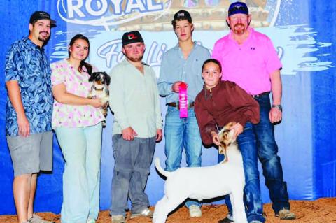 Moss 4H member, Vylie Cook showed at the American Royal Livestock Show in Kansas City over Fall Break. She placed 2nd in Class 1 with her wether goat, Peachy