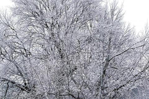Hughes County a Winter Wonderland ...and more coming!