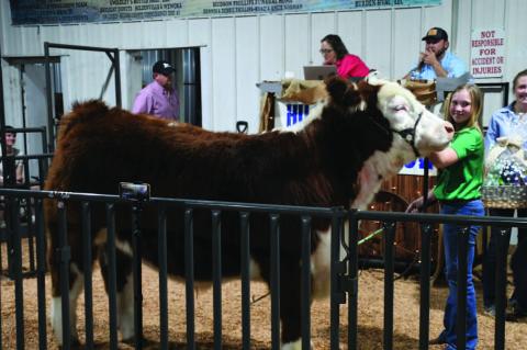 Hughes County Livestock Show