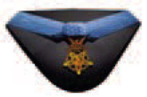 VETERANS DAY