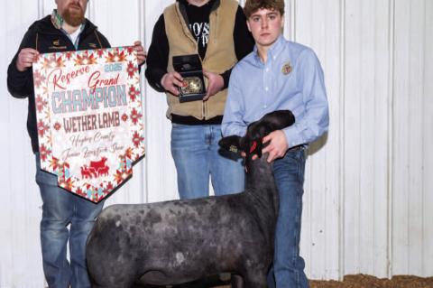 Moss FFA Member Tate Keesee earned Reserve Grand Champion Market Lamb