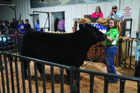 Hughes County Livestock Show