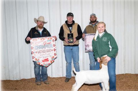 Moss 4H Member Ginelle Huff earned Reserve Grand Champion Wether Goat